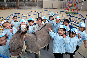 ふれあい動物園　たのしかったね　年少組