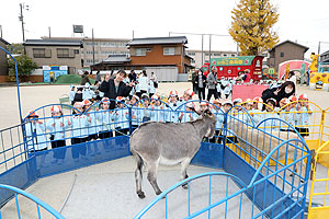 ふれあい動物園　たのしかったね　年少組