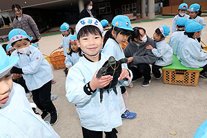 ふれあい動物園　たのしかったね　年中組　ひよこ・あひる　NO.2