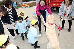 ふれあい動物園　たのしかったね　年中組　ひよこ・あひる　NO.2