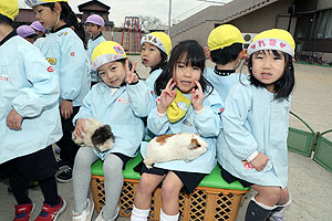 ふれあい動物園　たのしかったね　年中組　ひよこ・あひる　NO.2