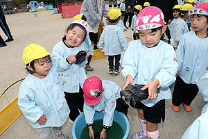 ふれあい動物園　たのしかったね　年中組　ひよこ・あひる　NO.2