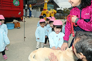 ふれあい動物園　たのしかったね　年中組　ひよこ・あひる　NO.2