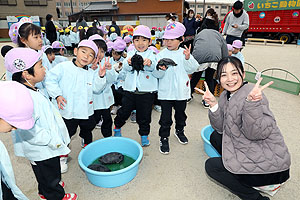 ふれあい動物園　たのしかったね　年中組　ひよこ・あひる　NO.2