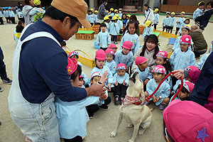 ふれあい動物園　たのしかったね　年中組　ひよこ・あひる　NO.2