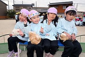 ふれあい動物園　たのしかったね　年中組　ひよこ・あひる　NO.2