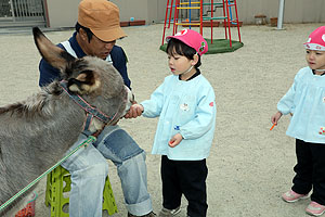 ふれあい動物園　たのしかったね　年中組　ひよこ・あひる　NO.2