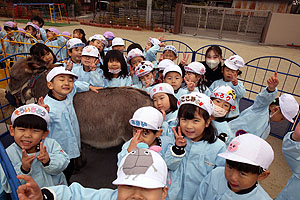 ふれあい動物園　たのしかったね　年中組　ひよこ・あひる　NO.2