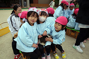 ふれあい動物園　たのしかったね　年中組　ひよこ・あひる　NO.2