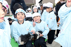 ふれあい動物園　たのしかったね　年中組　ひよこ・あひる　NO.1