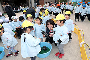 ふれあい動物園　たのしかったね　年中組　ひよこ・あひる　NO.1