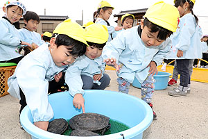 ふれあい動物園　たのしかったね　年中組　ひよこ・あひる　NO.1