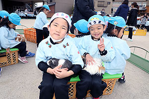 ふれあい動物園　たのしかったね　年中組　ひよこ・あひる　NO.1