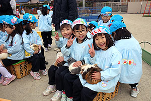 ふれあい動物園　たのしかったね　年中組　ひよこ・あひる　NO.1