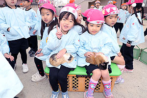 ふれあい動物園　たのしかったね　年中組　ひよこ・あひる　NO.1