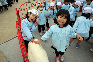 ふれあい動物園　たのしかったね　年中組　ひよこ・あひる　NO.1