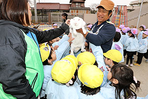 ふれあい動物園　たのしかったね　年中組　ひよこ・あひる　NO.1