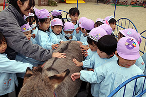 ふれあい動物園　たのしかったね　年中組　ひよこ・あひる　NO.1