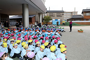 ふれあい動物園　たのしかったね　年中組　ひよこ・あひる　NO.1