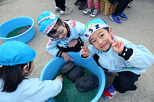 ふれあい動物園　たのしかったね　年中組　ひよこ・あひる　NO.1