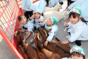 ふれあい動物園　たのしかったね　年長組