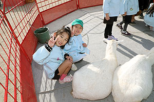 ふれあい動物園　たのしかったね　年長組