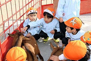 ふれあい動物園　たのしかったね　年長組