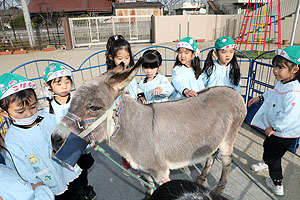 ふれあい動物園　たのしかったね　年長組