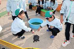 ふれあい動物園　たのしかったね　年長組