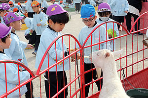 ふれあい動物園　たのしかったね　年長組