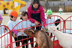 ふれあい動物園　たのしかったね　年長組