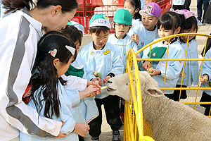 ふれあい動物園　たのしかったね　年長組