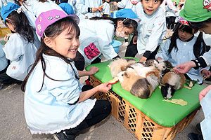 ふれあい動物園　たのしかったね　年長組