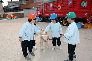 ふれあい動物園　たのしかったね　年長組