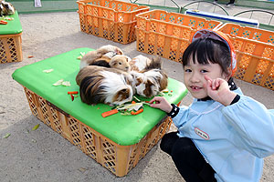 ふれあい動物園　たのしかったね　年長組