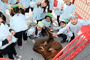 ふれあい動物園　たのしかったね　年長組