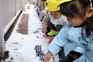 雪遊び　楽しかったね　あひる