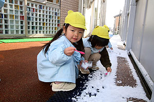 雪遊び　楽しかったね　あひる