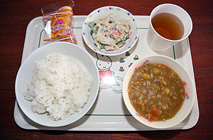 作品展の制作活動　ことり