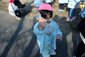 お散歩に出かけました　ひよこ・あひる