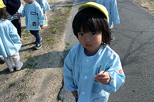 お散歩に出かけました　ひよこ・あひる