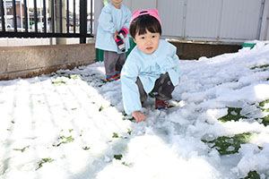 雪遊び楽しかったね　ひよこ・あひる