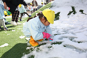 雪遊び楽しかったね　ひよこ・あひる