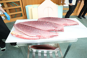 マグロ解体ショーが行われました！　NO．2