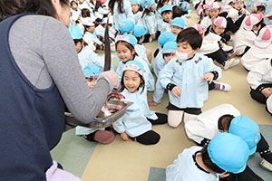 マグロ解体ショーが行われました！　NO．2