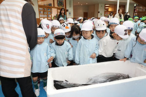 マグロ解体ショーが行われました！　NO．1