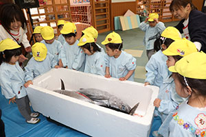 マグロ解体ショーが行われました！　NO．1