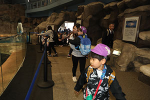 お別れ遠足で名古屋港水族館に行きました　年長組 NO.2