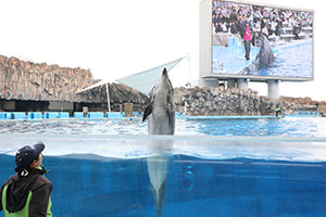 お別れ遠足で名古屋港水族館に行きました　年長組 NO.2