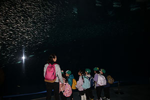 お別れ遠足で名古屋港水族館に行きました　年長組 NO.2